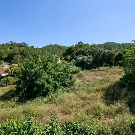 & Nature With Amazing Pool By Timecooler Ferienhaus Setúbal