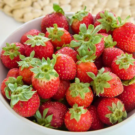 & Nature With Amazing Pool By Timecooler Feriehus Setúbal