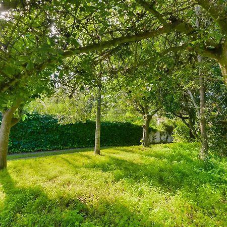 Ferienhaus & Nature With Amazing Pool By Timecooler Setúbal