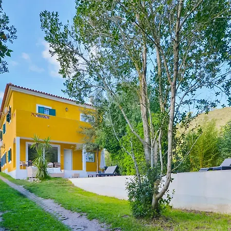 & Nature With Amazing Pool By Timecooler