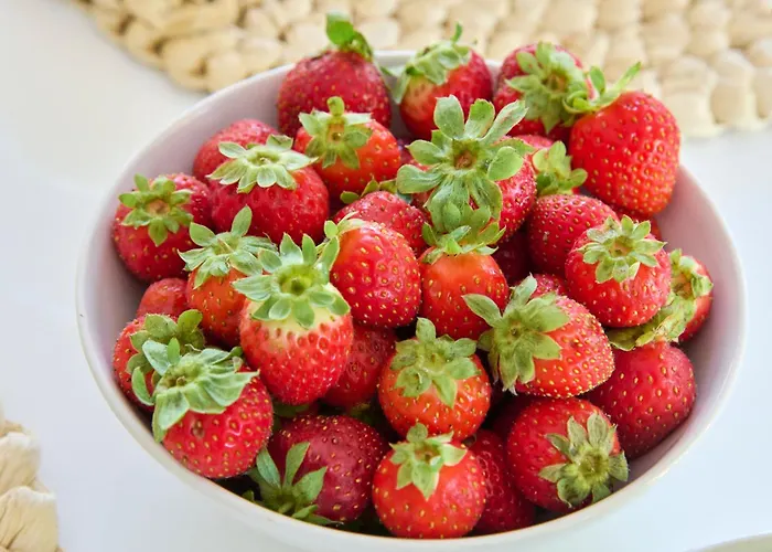 & Nature With Amazing Pool By Timecooler Casa de Férias Setúbal