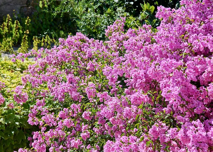 Casa de Férias & Nature With Amazing Pool By Timecooler